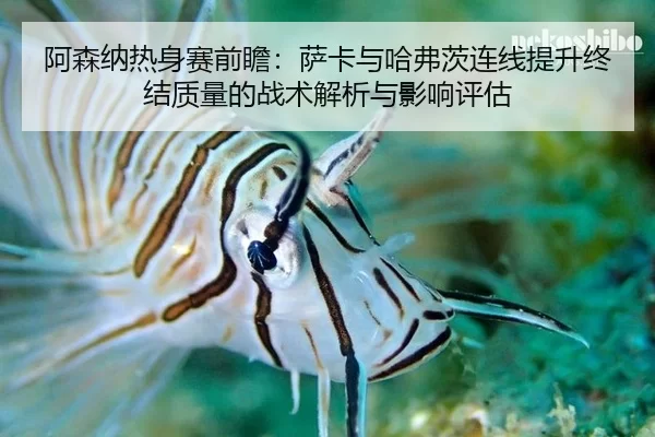 阿森纳热身赛前瞻：萨卡与哈弗茨连线提升终结质量的战术解析与影响评估